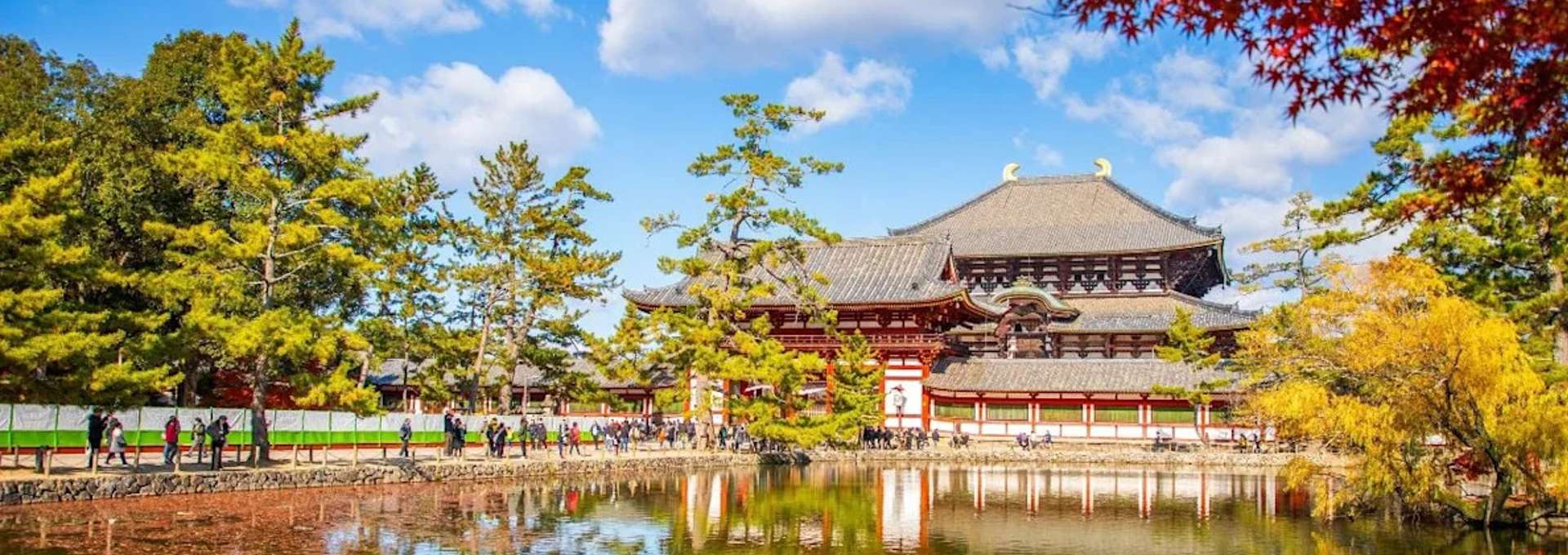 Contrastes de Japón 27