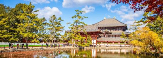 Contrastes de Japón 27