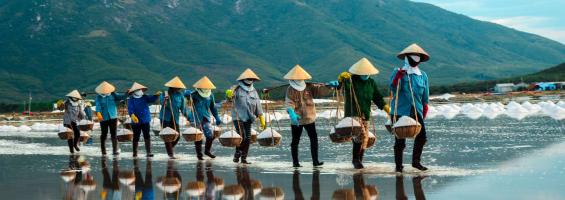 Vietnam porteadores sal