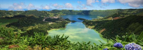 Azores flores