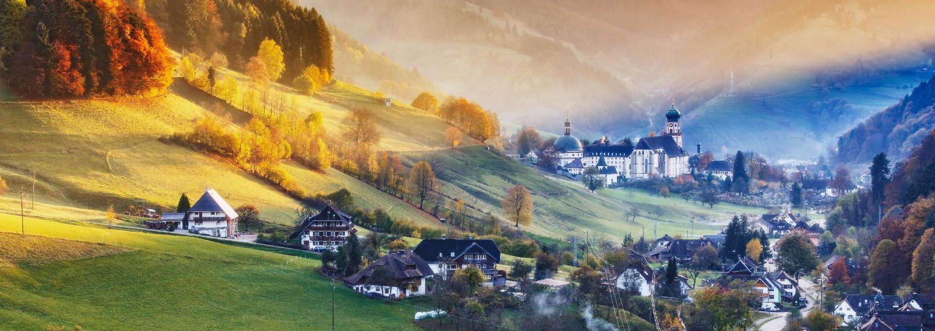 Alemania Selva Negra