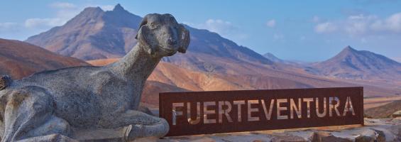 Fuerteventura cartel