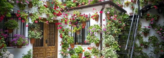 Patios andaluces