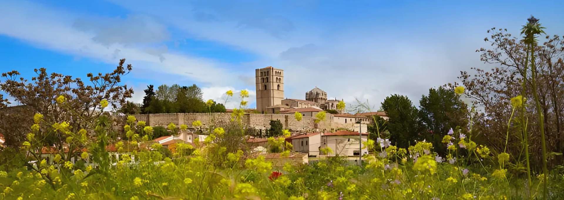 Castroverde de Campos Zamora