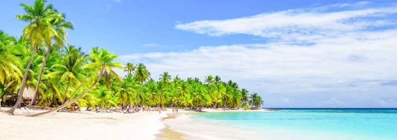 Punta Cana playa y palmeras