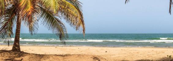 Lo mejor de Senegal