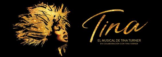 Tina Turner musical