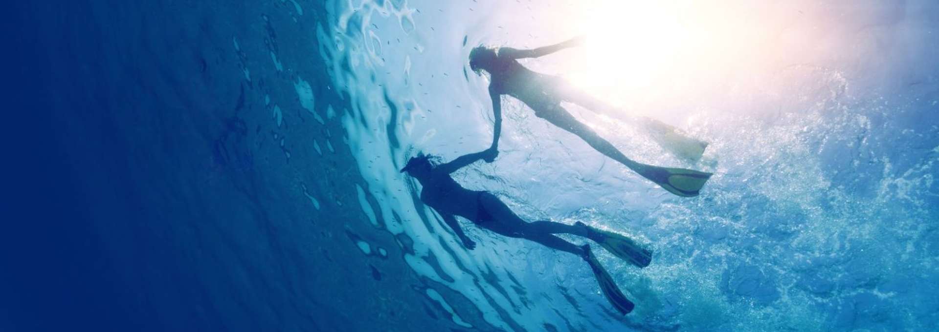 Snorkel novios Riviera Maya